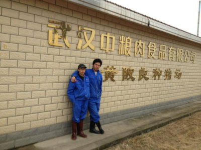 畜牧獸醫專業校外實習基地建設 聚焦畜牧漁業飼料銷售實踐